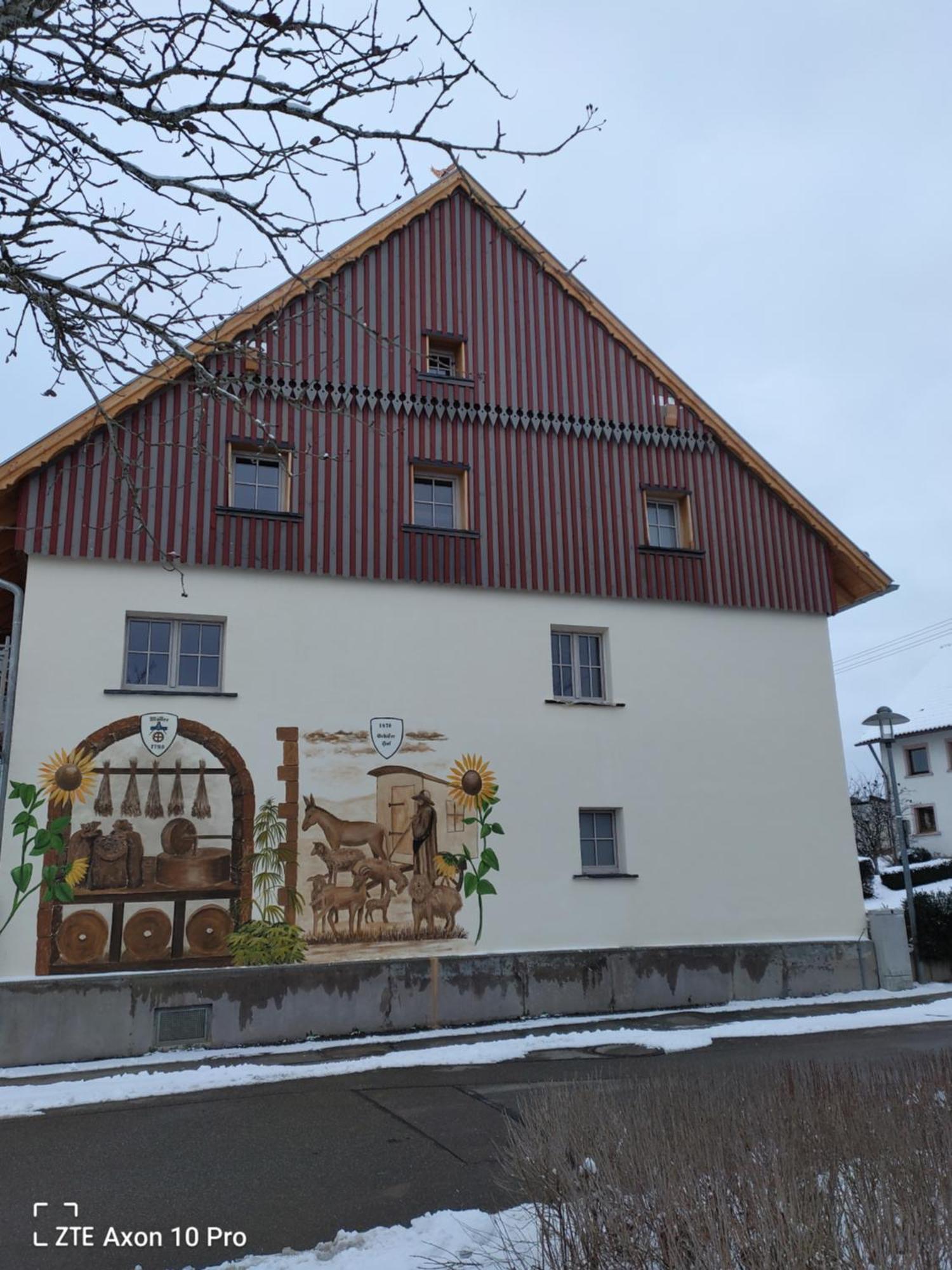 Alte Oelmuehle, Spaeter Schaefershaus 도나우에싱겐 외부 사진
